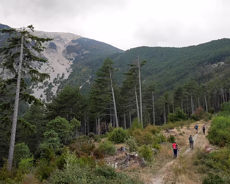 20181006-17h17m17s-P1110231-V3