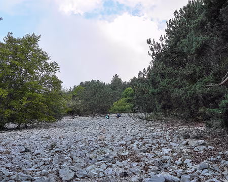 20181006-17h52m13s-P1110232-V3