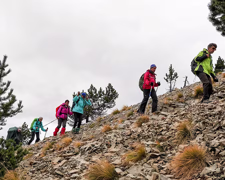 20181007-10h47m05s-P1110245-V3