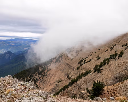 20181007-10h58m51s-P1110251-V3