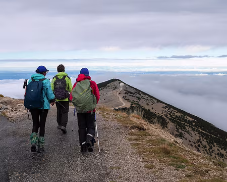 20181007-11h28m45s-P1110293-V3