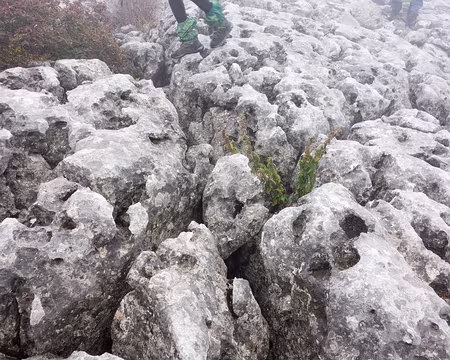 20181007-11h59m50s-DSC09120-V3 Concentration obligatoire !