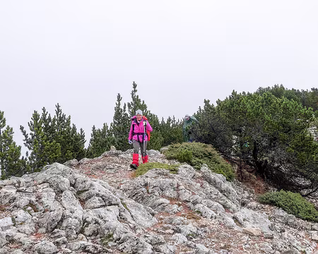 20181007-12h05m30s-P1110319-V3