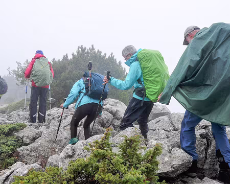 20181007-12h33m34s-P1110321-V3