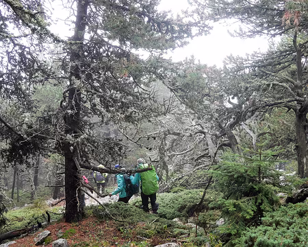 20181007-12h52m35s-P1110322-V3