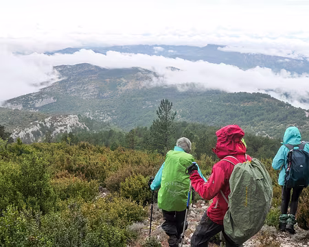 20181007-14h13m38s-P1110331-V3