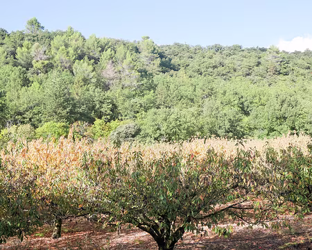 20181007-17h08m14s-P1110336-V3