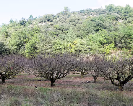 20181007-17h15m09s-P1110337-V3