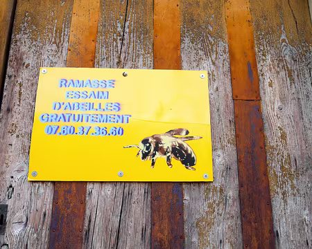 20181007-17h44m45s-P1110338-V3