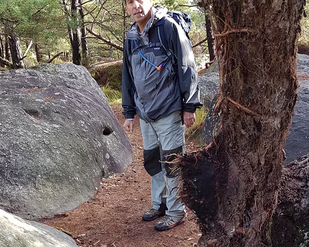 20181113_131703 Arbre déraciné