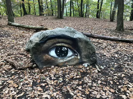 2018-11 Bois d'Arcy et Plaisir