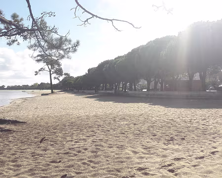 Maubuisson, sur l'étang de Hourtin-Carcans Maubuisson, sur l'étang de Hourtin-Carcans