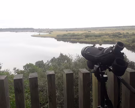 Réserve naturelle de l'étang de Cousseau où s'effectuent des comptages d'oiseaux migrateurs Réserve naturelle de l'étang de Cousseau où s'effectuent des comptages d'oiseaux migrateurs