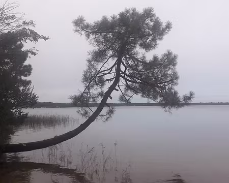 Étang de Lacanau Étang de Lacanau