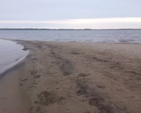 Étang de Lacanau Étang de Lacanau