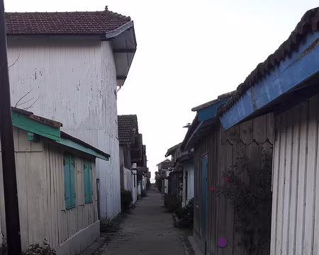 Le Cap-Ferret (le Canon), ruelle dans un village d'ostréiculteurs Le Cap-Ferret (le Canon), ruelle dans un village d'ostréiculteurs