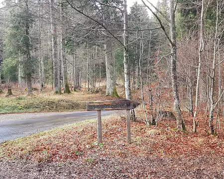 20181124_122540