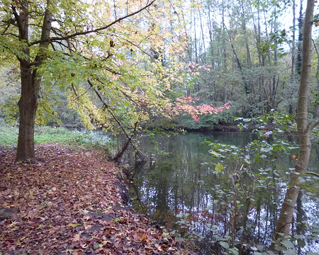 P1090384 L'Essonne près de Malesherbes