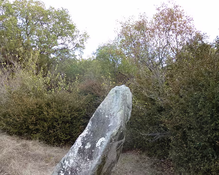 P1090393 Menhir de la Pierre droite, Prunay-sur-Essonne
