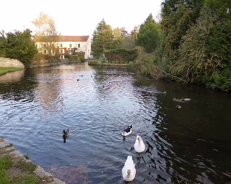 P1090398 L'Essonne à Maisse. Merci à Jean-Claude pour la 31è étape du Tour de l'Ile de France de Malesherbes à Maisse.