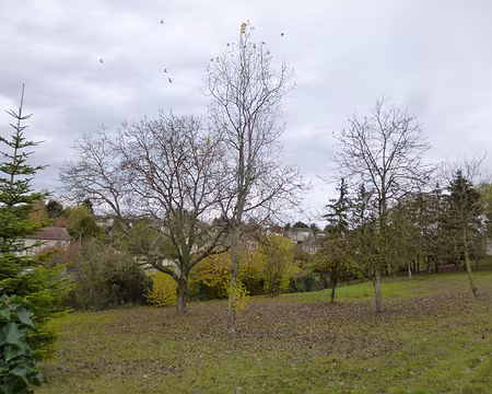 P1090420 Fonteneilles