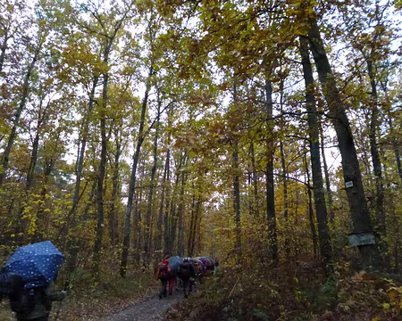 P1090446 Forêt de Poligny