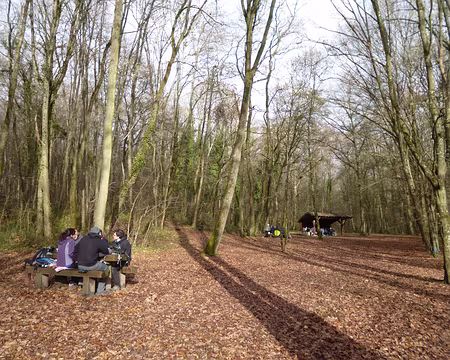 P1090578 Pique-nique