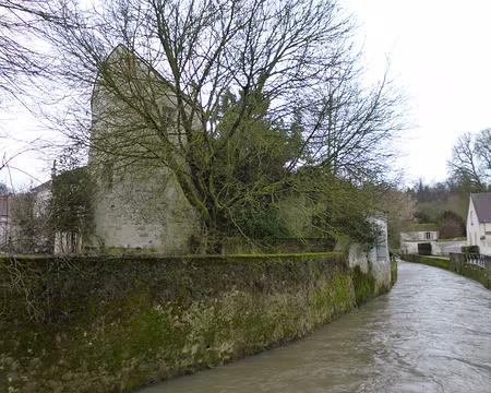 P1090853 - Copie Le Grand Morin, le long du quai des Tanneurs