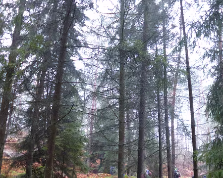 P1090830 Sentier bleu