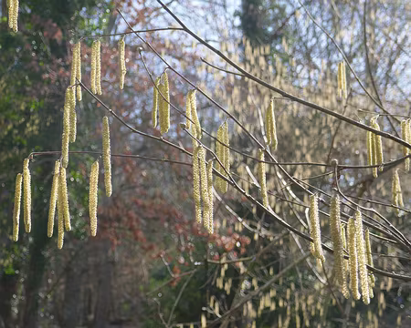 P1050045 Des chatons de…