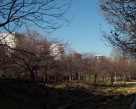 2019_02_15-11_25_28 Parc Clichy-Batignolles - Martin-Luther-King