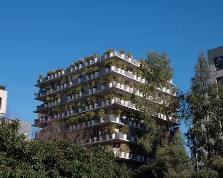 2019_02_15-12_03_14 Jardin Claire-Motte