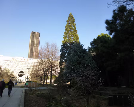 P1100039 Jardin Atlantique (1994). Merci à Alain.