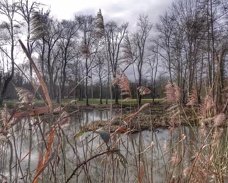 02 golf de Bois-le-Roi