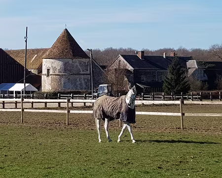 20190224_121357 Élégante au haras de Malvoisine
