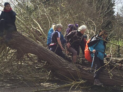 François François G, détail sortie