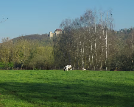 Photographiant la moindre vache tel le Parisien moyen en campagne Photographiant la moindre vache tel le Parisien moyen en campagne