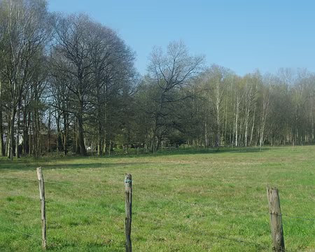 Près du Mesnil-Sévin Près du Mesnil-Sévin
