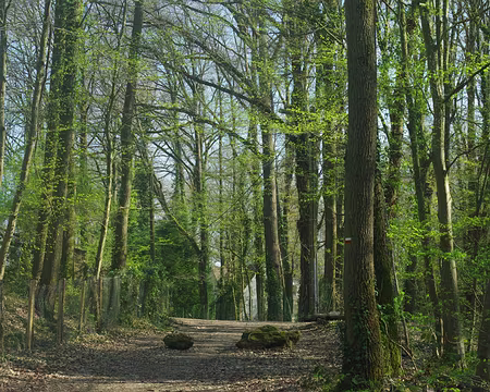 Sentier vers la vallée de l’Yvette Sentier vers la vallée de l’Yvette