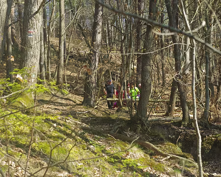 En forêt près de Fourcherolles En forêt près de Fourcherolles
