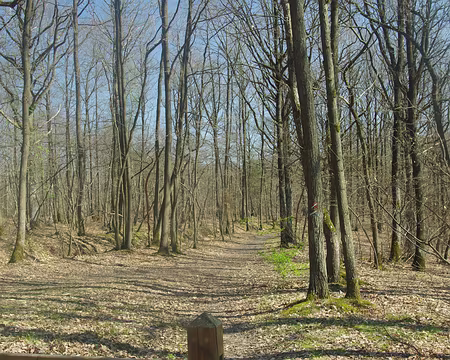 Plus tard (avant le pique-nique) Plus tard (avant le pique-nique)