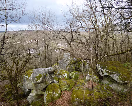 P1100152 Bois du domaine de la Justice, La Ferté-Alais