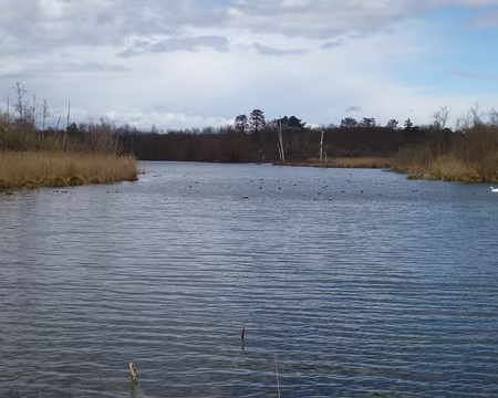 P1100162 Les marais de Fontenay, étang aux Pointes
