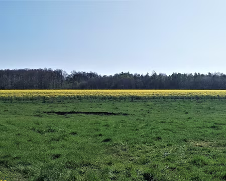 IMG_20190420_112158A