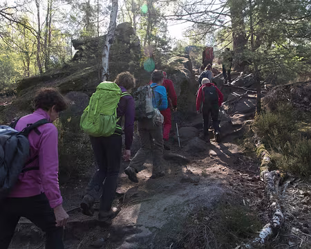 018_4V1A0917 Rocher de Jean des Vignes