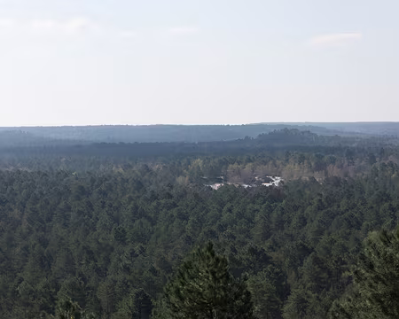019_4V1A0923 Rocher de Jean des Vignes