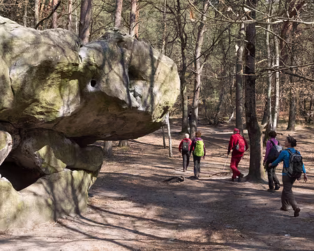 025_4V1A0946 Près du Chemin de la Vallée Close