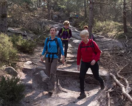 026_4V1A0949 Roche au Four