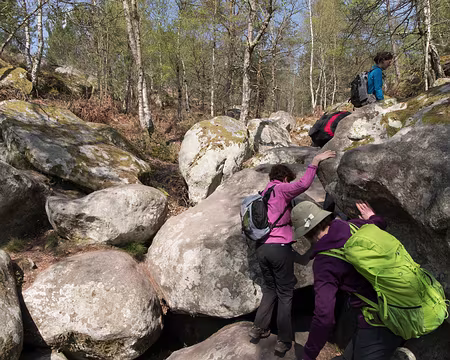 036_4V1A0986 Pignon Poteau