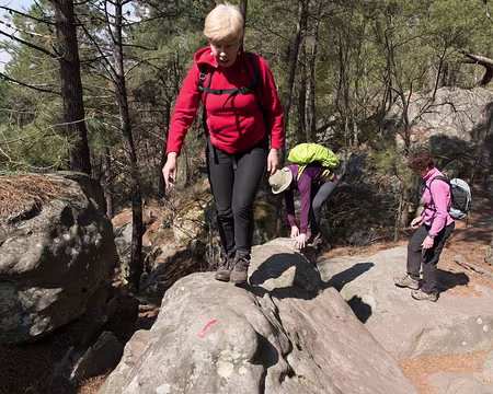 039_4V1A0997 Il faut suivre la trace (même si c'est plus facile juste à côté)